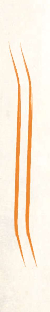 A synoptic Concept new-4.jpg